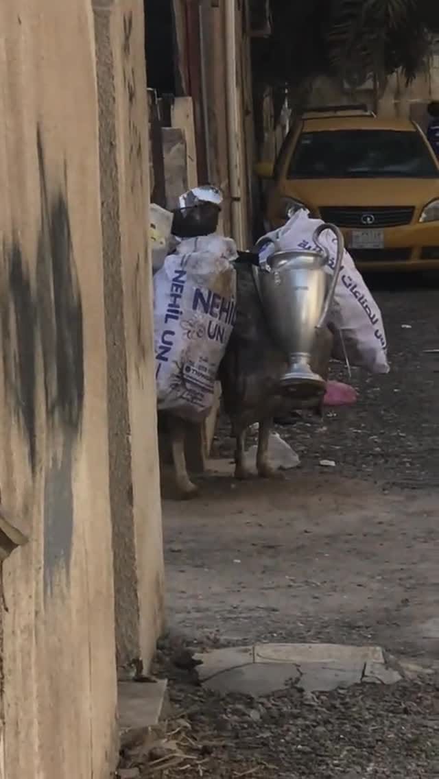 Post 5 by ريــالــي قـافــل on Instagram (video)