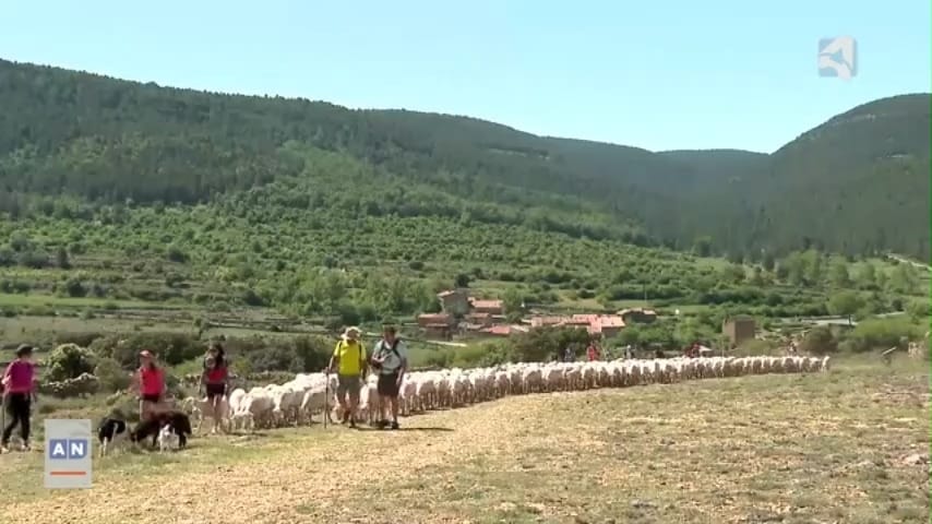 Post 5 by Pastores Grupo Cooperativo on Instagram (video)