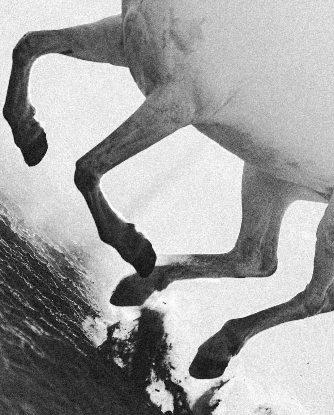 Post 2 by Madeleine Botet de Lacaze on Instagram (image)