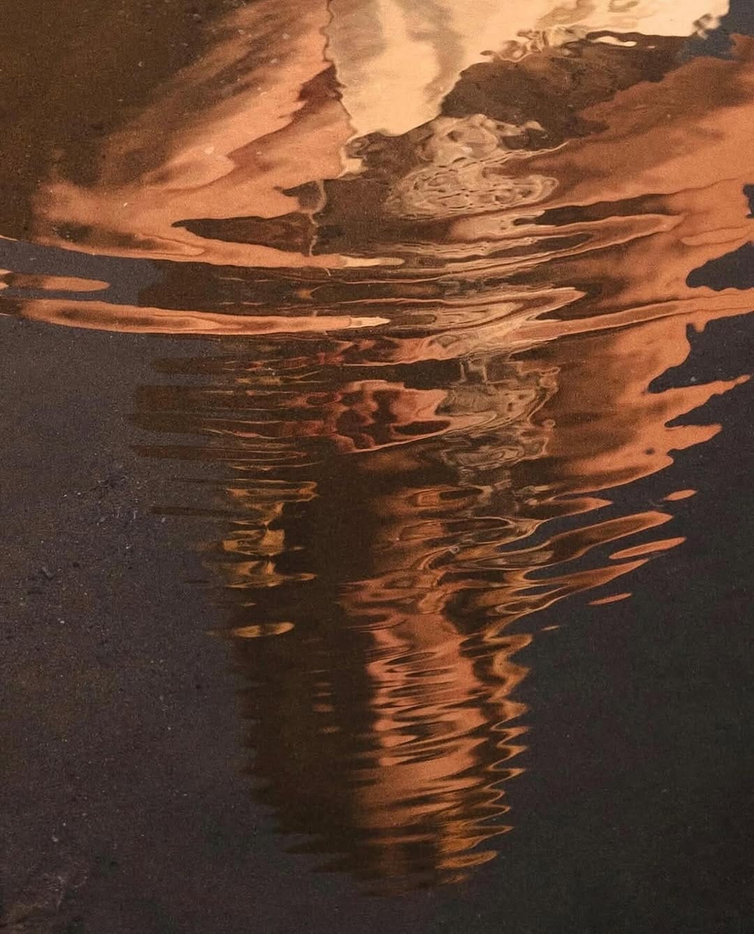 Post 10 by Madeleine Botet de Lacaze on Instagram (image)
