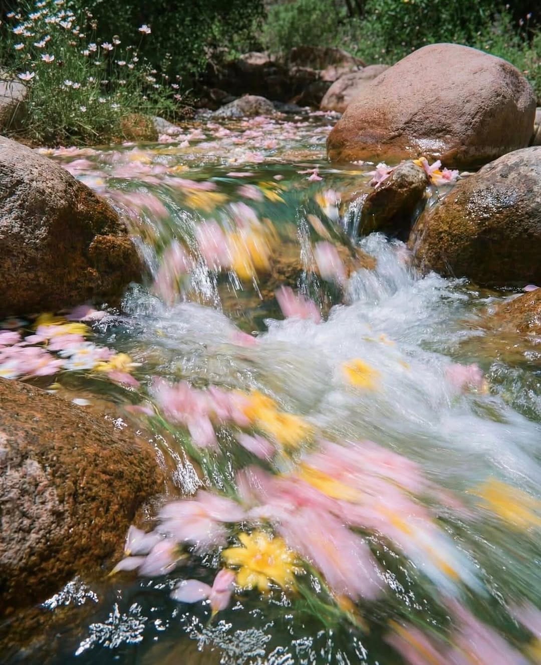 Post 9 by Madeleine Botet de Lacaze on Instagram (image)