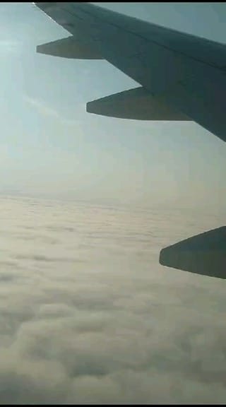 Post 6 by Wilkerson Telfort on Instagram (video)