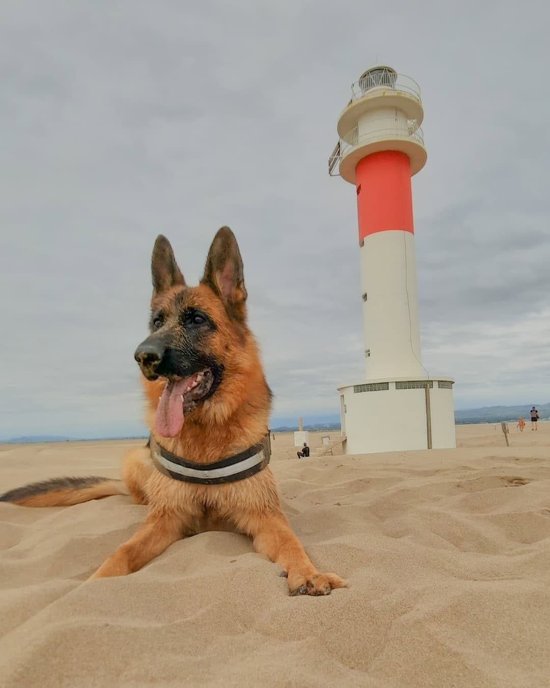 Post 10 by 🐾🅺🅸🆁🅰🐾 on Instagram (image)