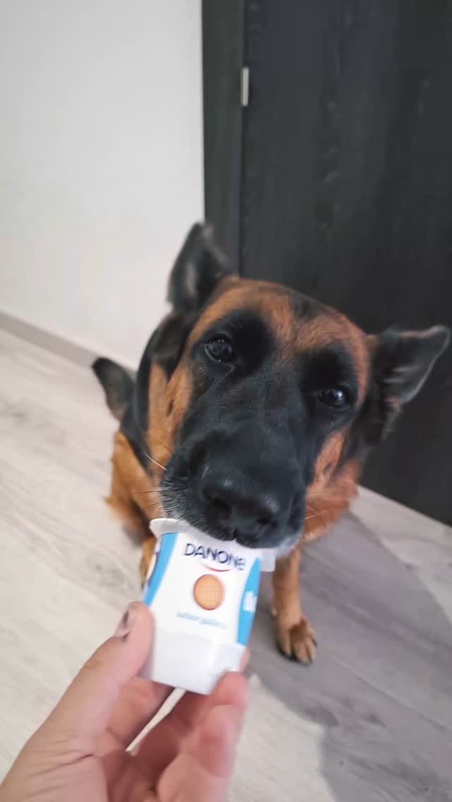 Post 1 by 🐾🅺🅸🆁🅰🐾 on Instagram (video)