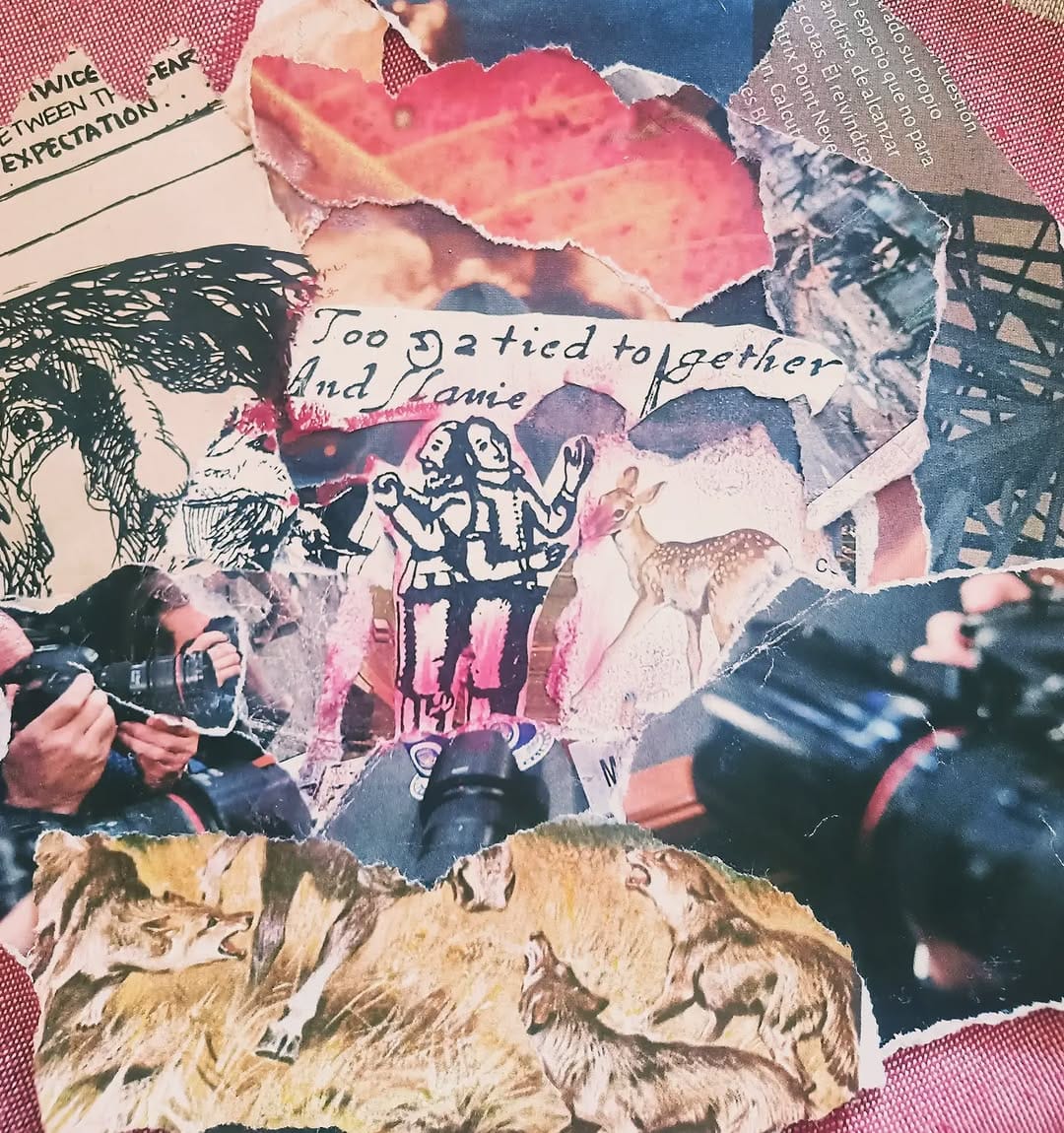 Post 5 by Duna Haller on Instagram (carousel)