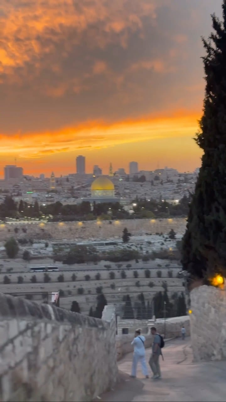 Post 2 by YUSUF WAHIB on Instagram (video)