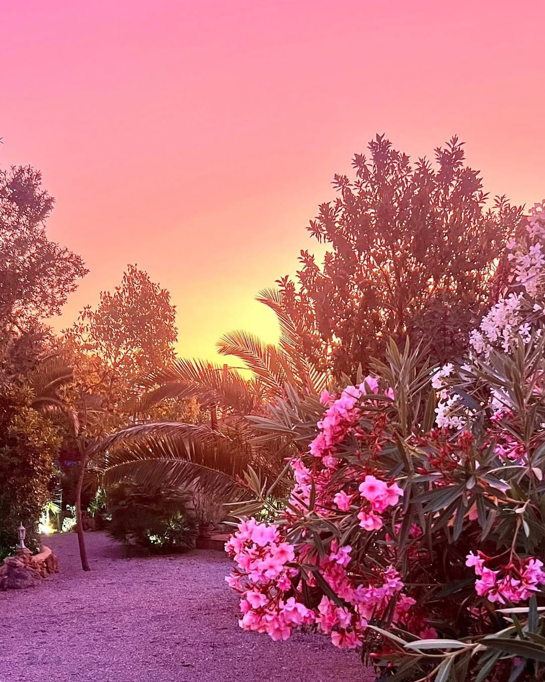 Post 9 by Bettina Maul on Instagram (image)