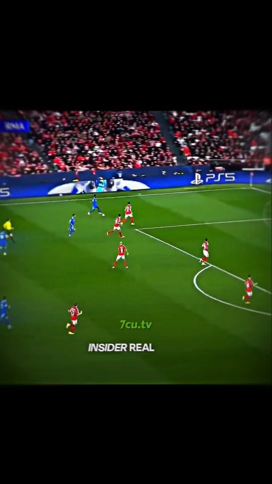 Post 6 by Ryan on Instagram (video)