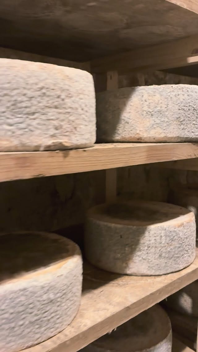 Post 3 by Quesería Hoya de la Iglesia on Instagram (video)