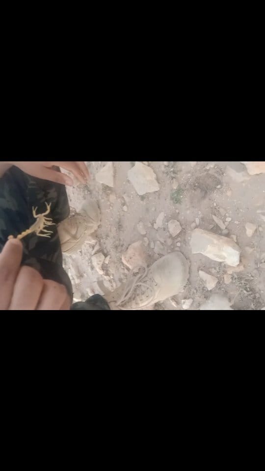Post 7 by جاري الكتابة... on Instagram (video)