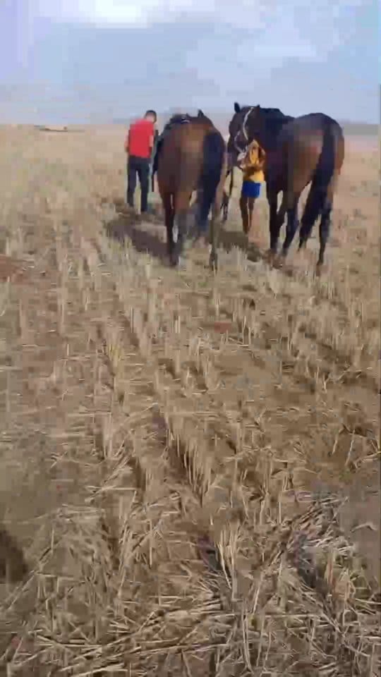 Post 9 by جاري الكتابة... on Instagram (video)