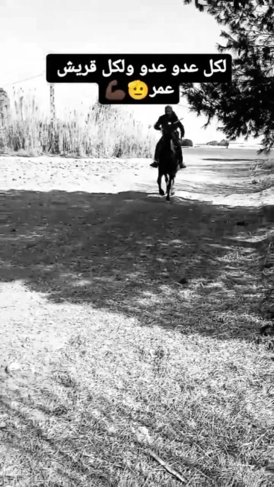 Post 10 by جاري الكتابة... on Instagram (video)