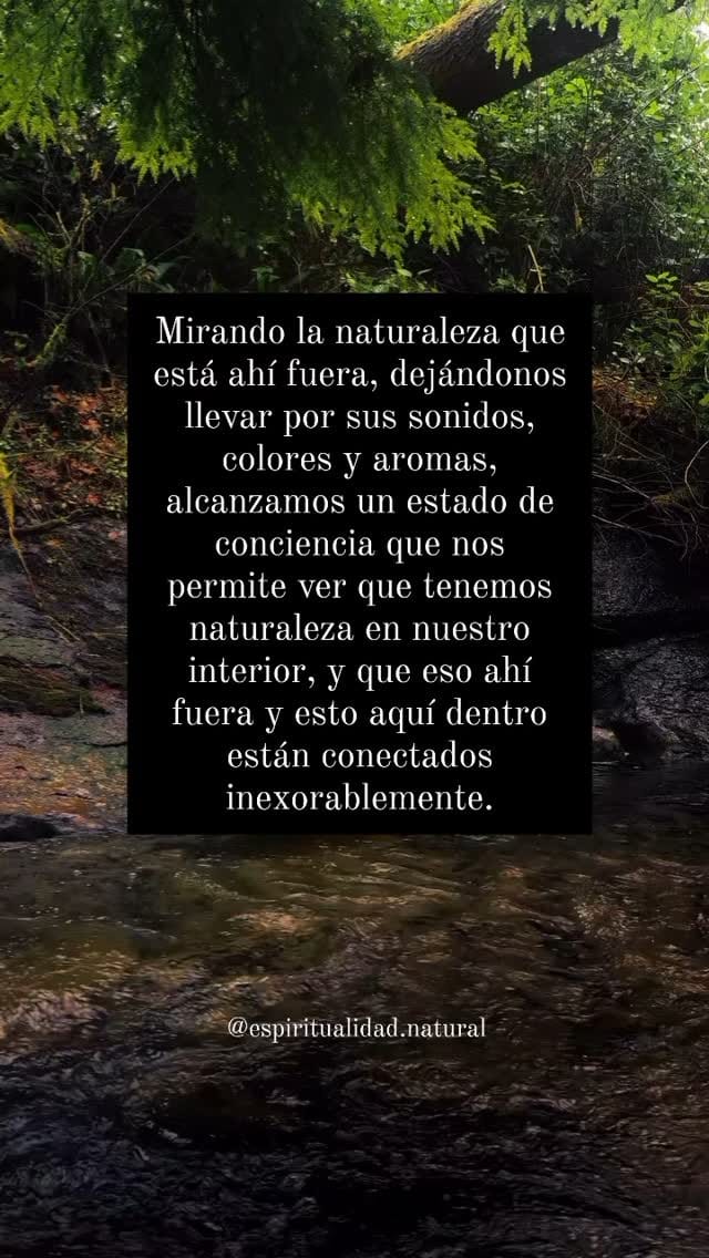 Post 6 by Jaime San Martin on Instagram (video)