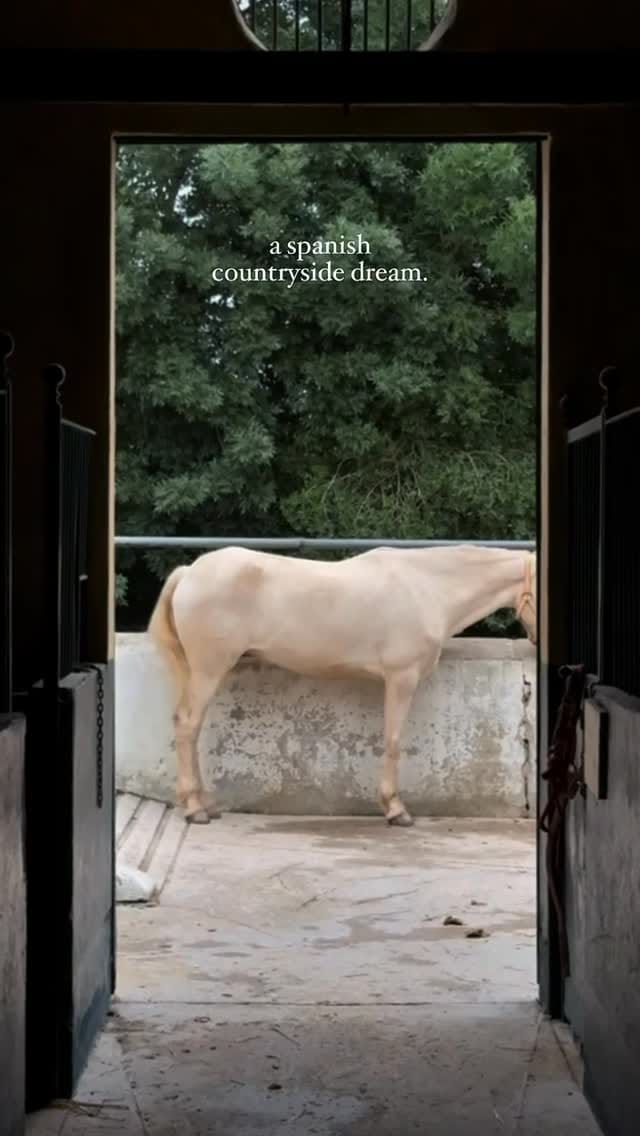 Post 3 by Hacienda Las Mesas on Instagram (video)
