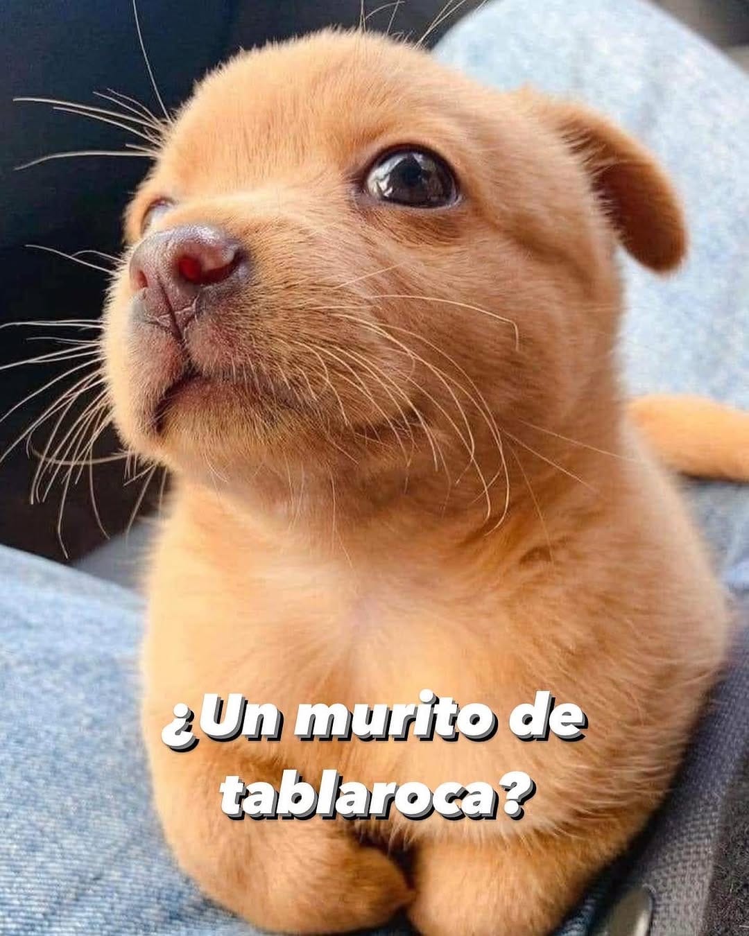 Post 10 by Tablaroca Gamez on Instagram (image)