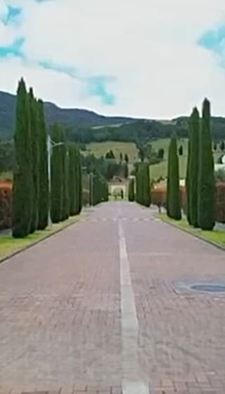 Post 5 by Bibiana Marulanda Patiño on Instagram (video)
