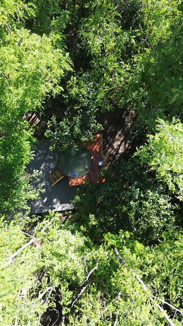 Post 7 by LaCasaDelBosqueValleHermoso🌳 on Instagram (video)