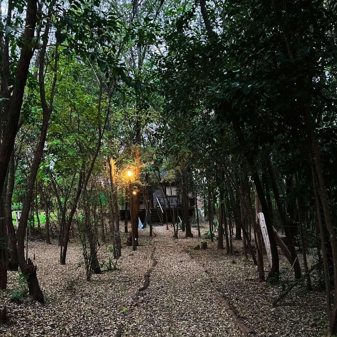 Post 2 by LaCasaDelBosqueValleHermoso🌳 on Instagram (image)