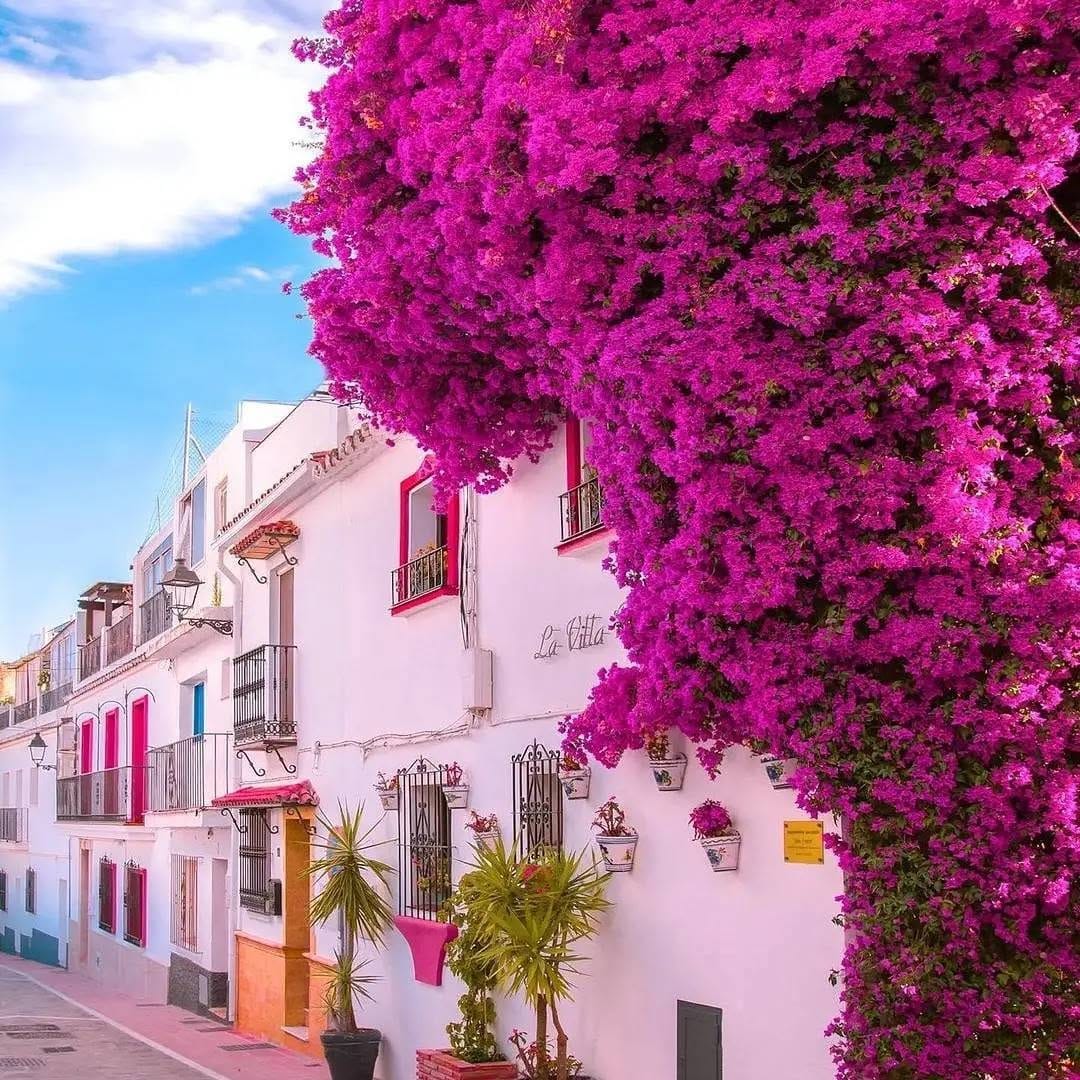 Post 9 by GOLDEN HOMES on Instagram (image)