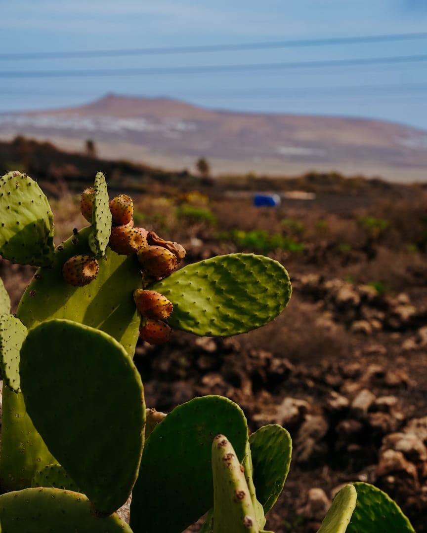 Post 3 by Lanzarote Retreats on Instagram (carousel)