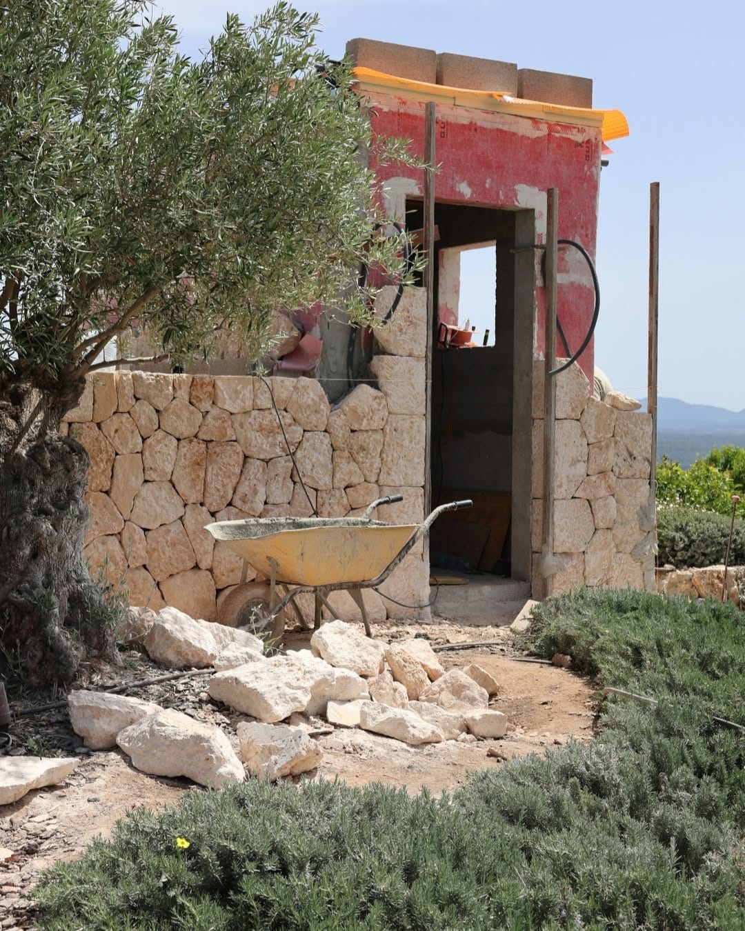 Post 3 by FREER LIVING STUDIO on Instagram (carousel)
