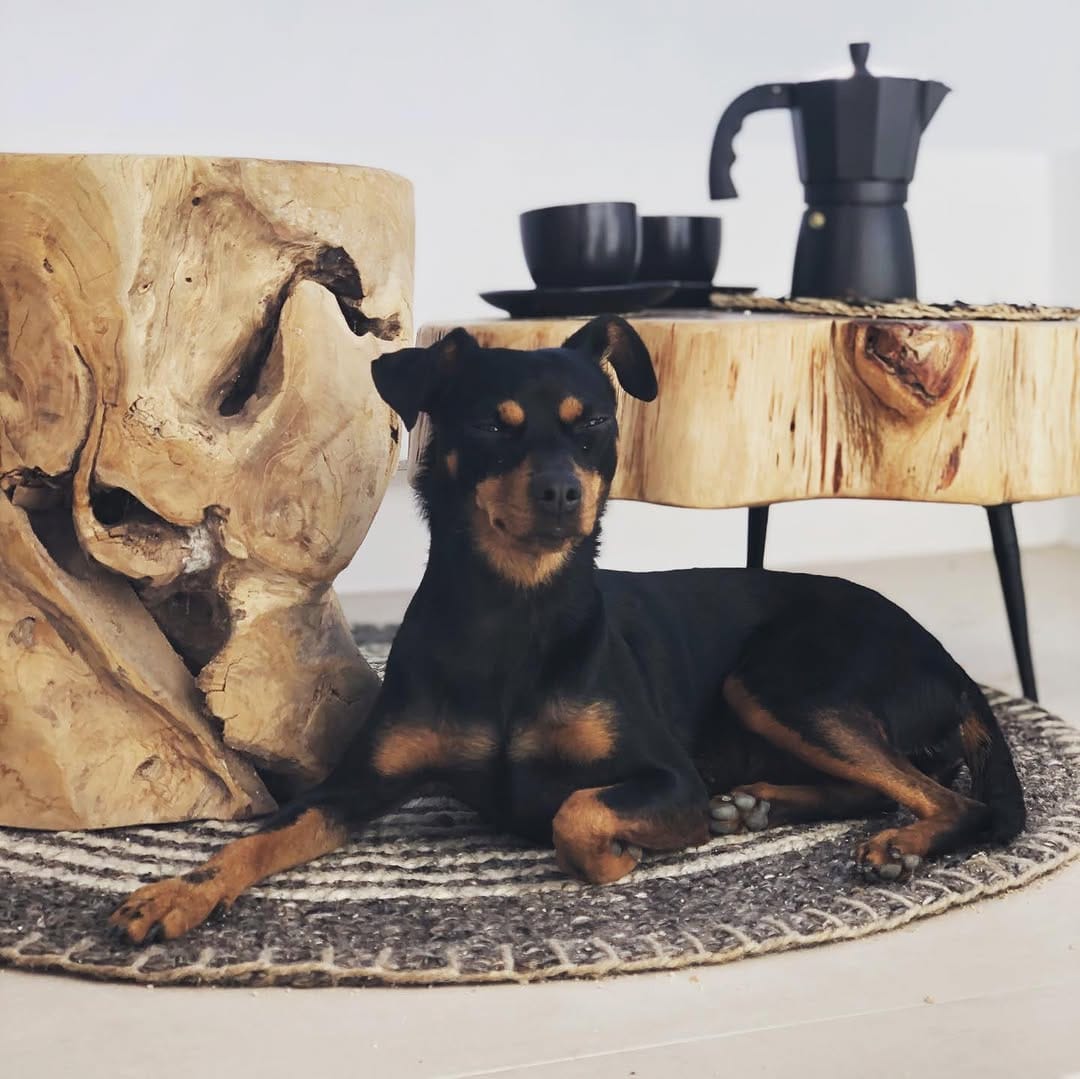 Post 8 by Joel Corneliusson on Instagram (carousel)