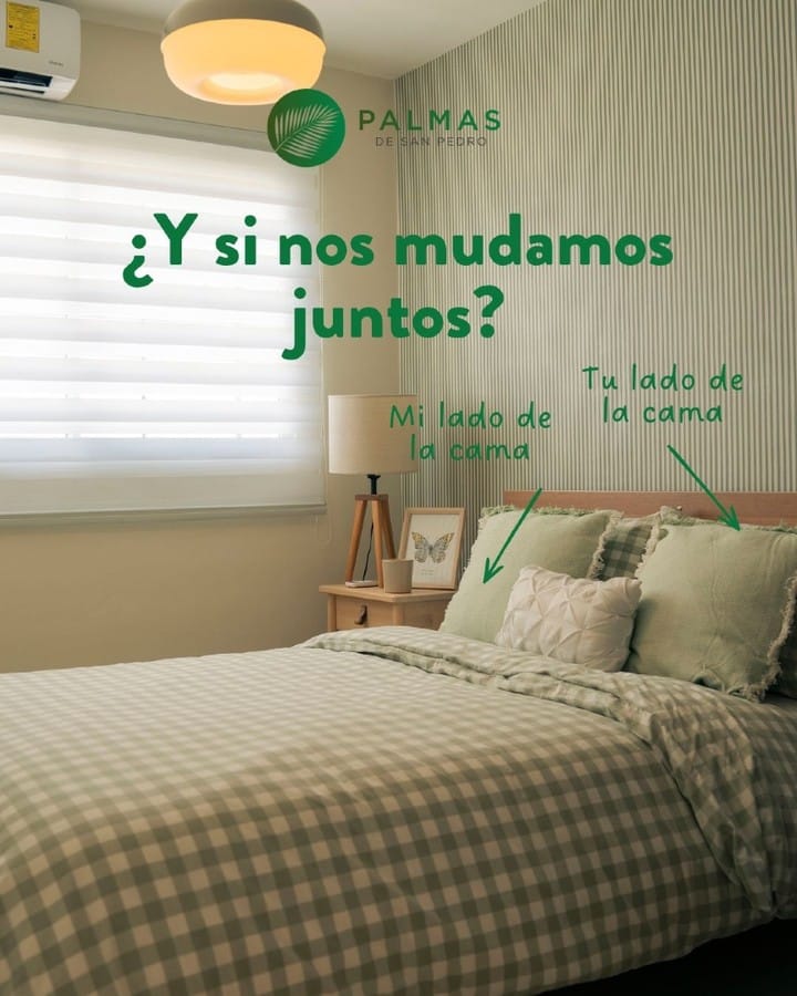 Post 6 by Proyectos Palmas on Instagram (carousel)