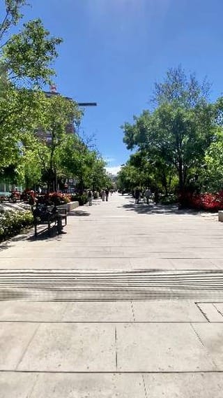Post 6 by Grupo Torres | Inmobiliaria líder on Instagram (video)
