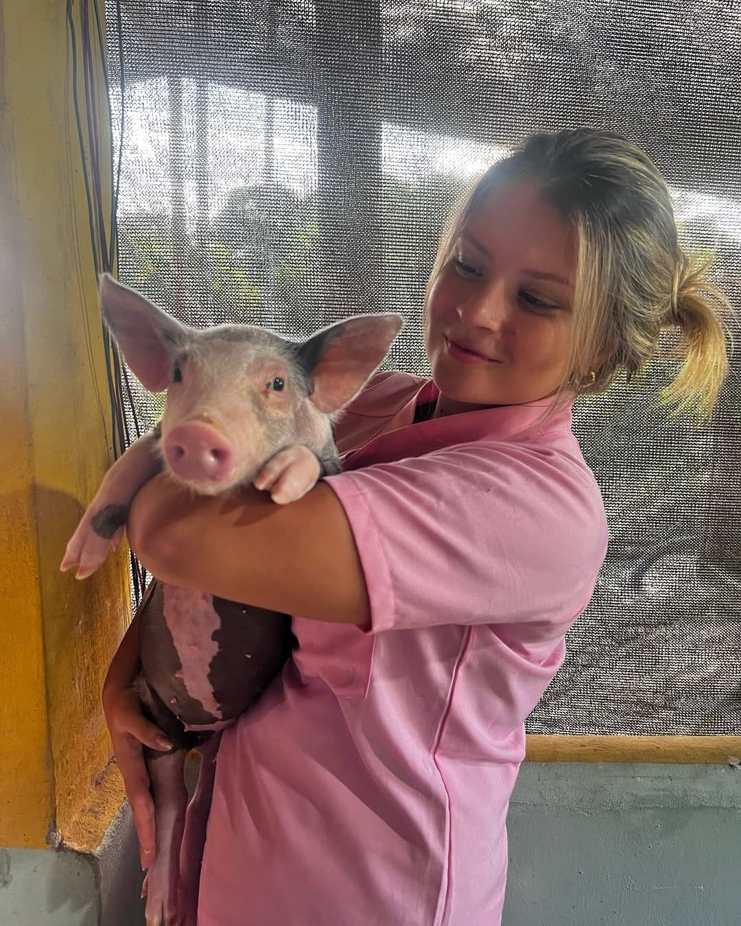 Post 9 by Giovana Braga on Instagram (carousel)