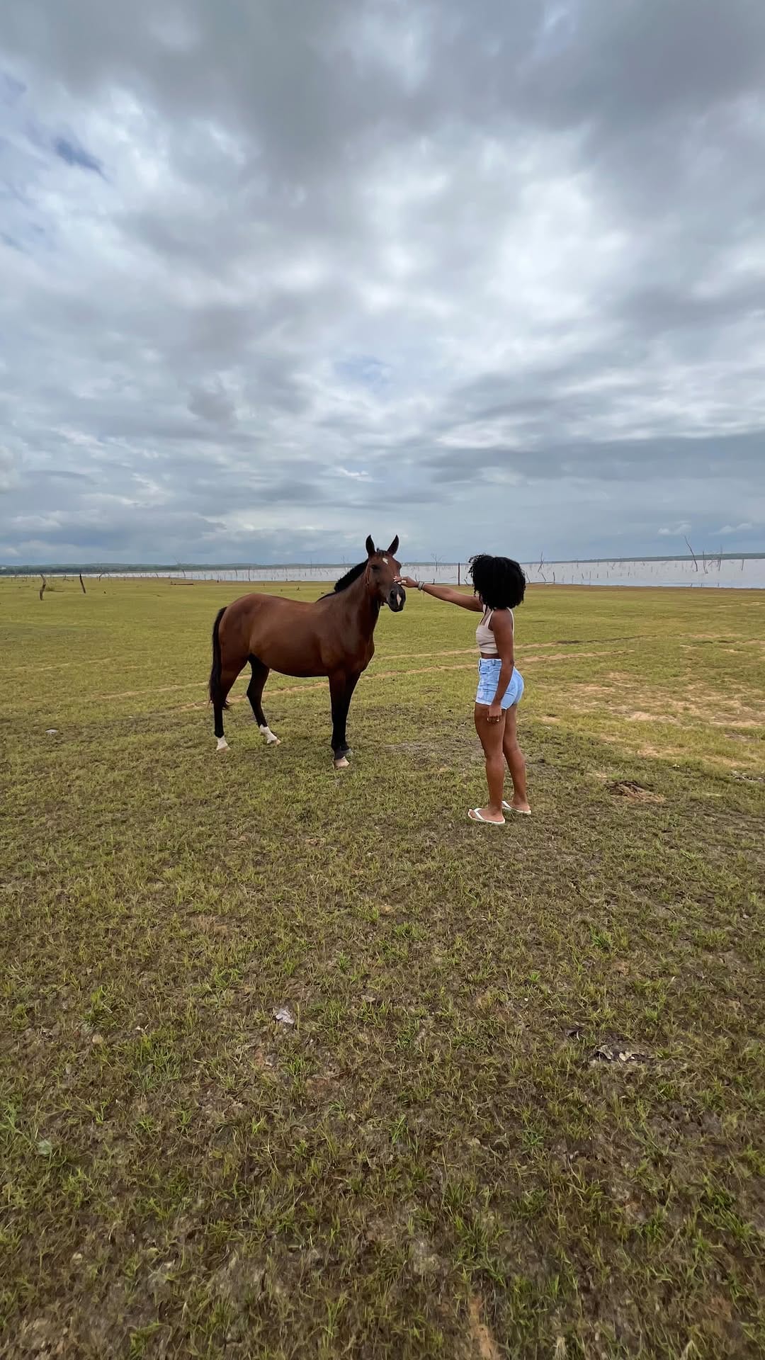Post 5 by Victória Moura on Instagram (video)