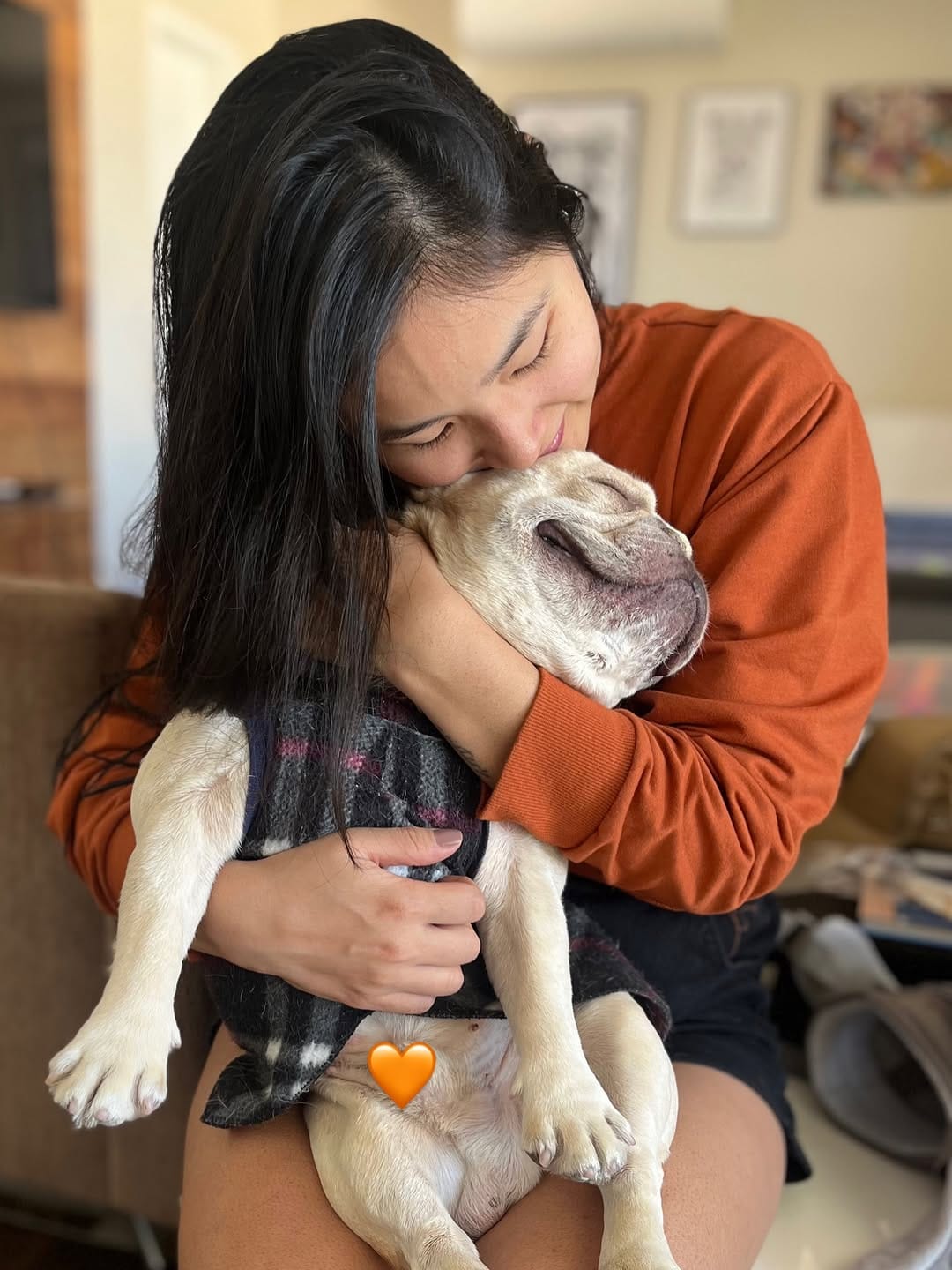Post 1 by Shelby Frenchie on Instagram (image)