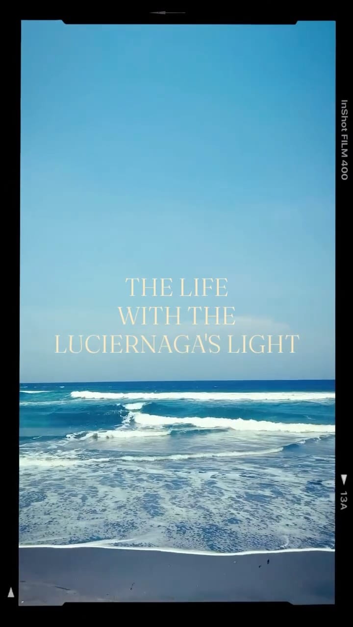 Post 1 by LUCIÈRNAGA by Lucie Ortega on Instagram (video)