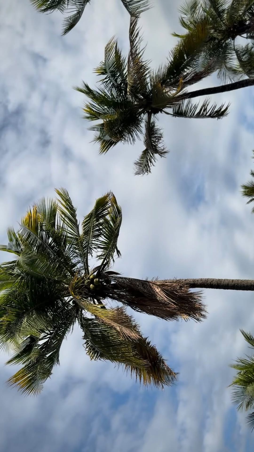 Post 6 by Luca Ronzani on Instagram (video)