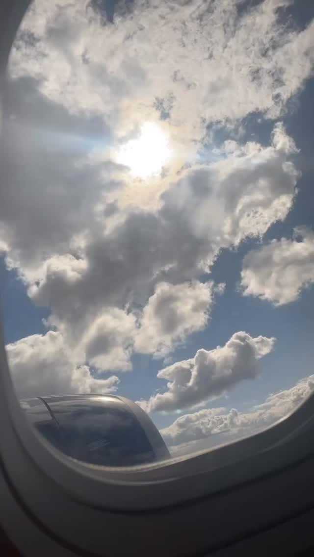 Post 5 by Stefanie Teles on Instagram (video)