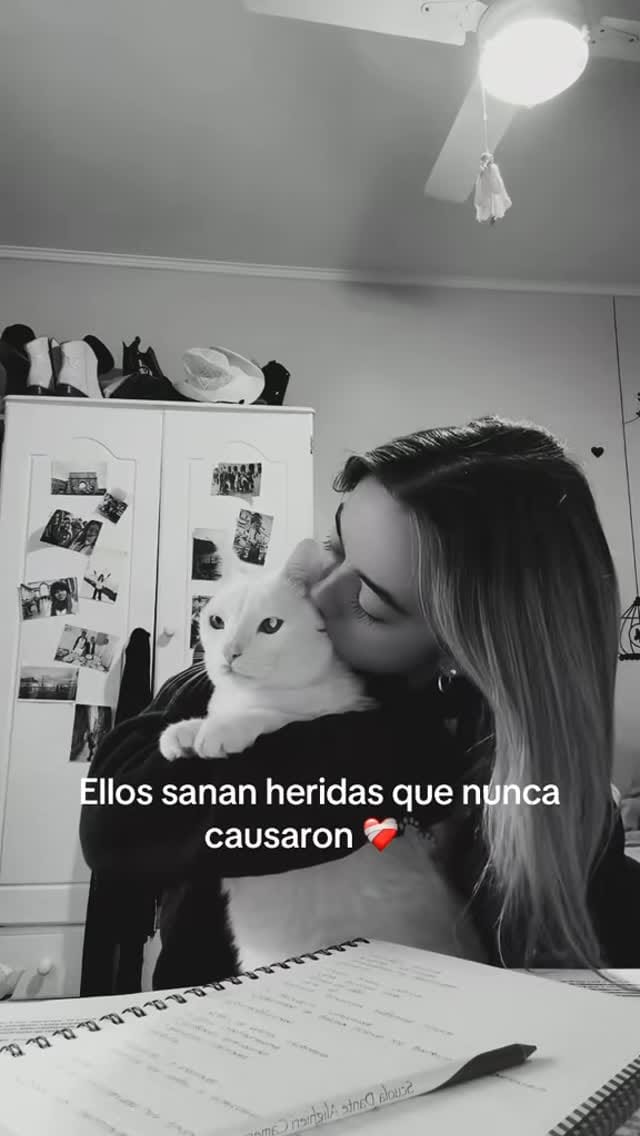 Post 3 by Sofyy DP (Creadora UGC) on Instagram (video)