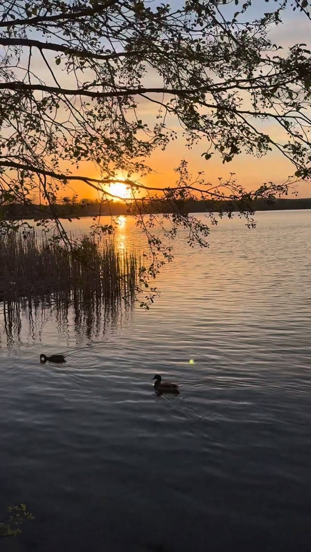 Post 3 by НАТАЛЬЯ ЕРОШЕВИЧ on Instagram (video)