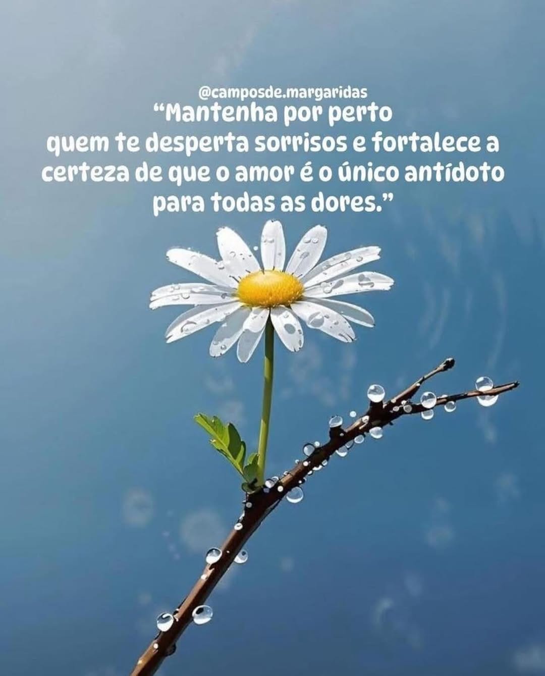 Post 1 by Essiene Alves do Nascimento on Instagram (image)