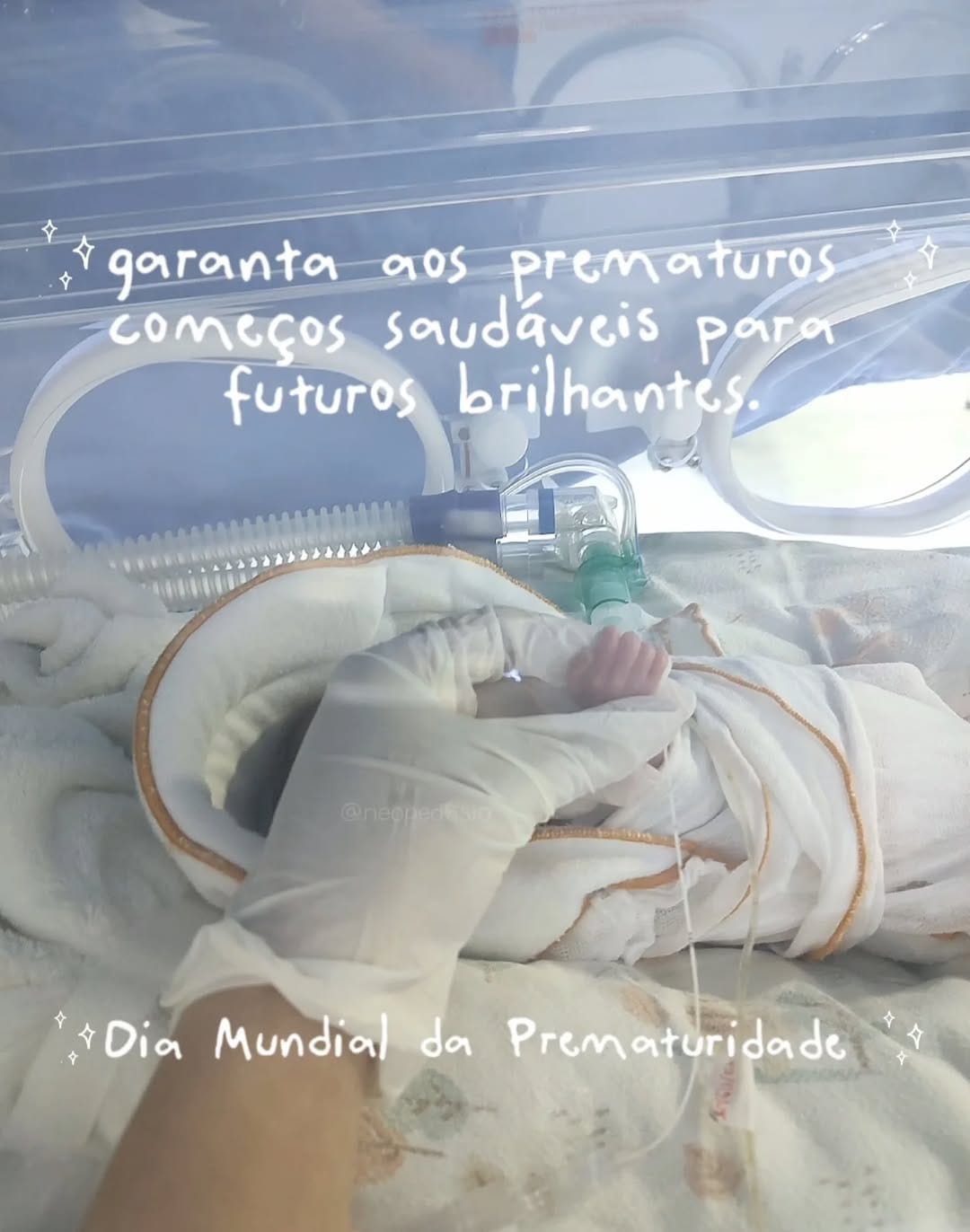 Post 10 by Ana Clara Oliveira | Fisioterapeuta on Instagram (image)