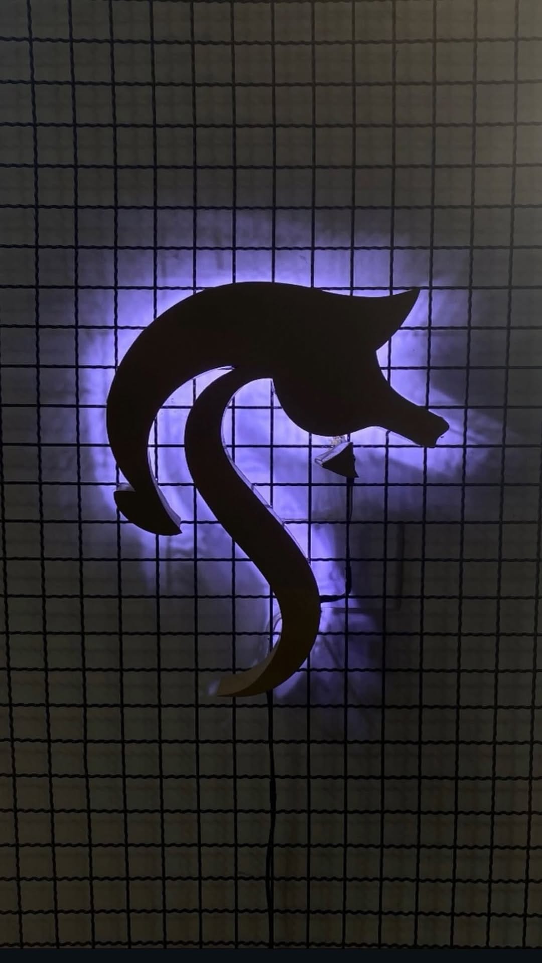 Post 2 by Sayllon Ribeiro on Instagram (video)