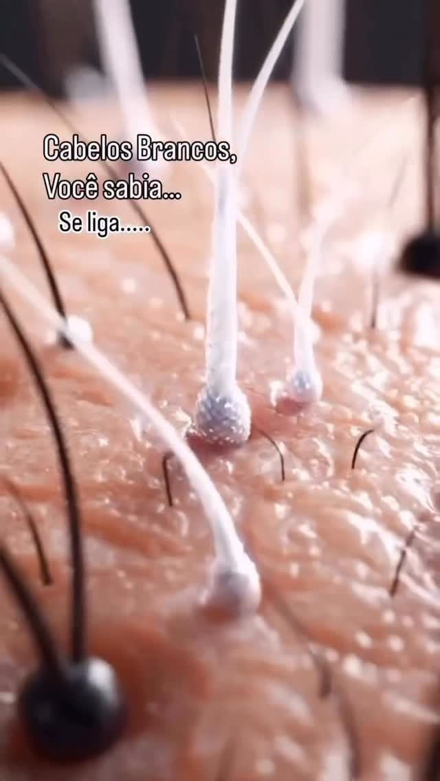 Post 6 by Marcela Guimarães✂️Hair on Instagram (video)