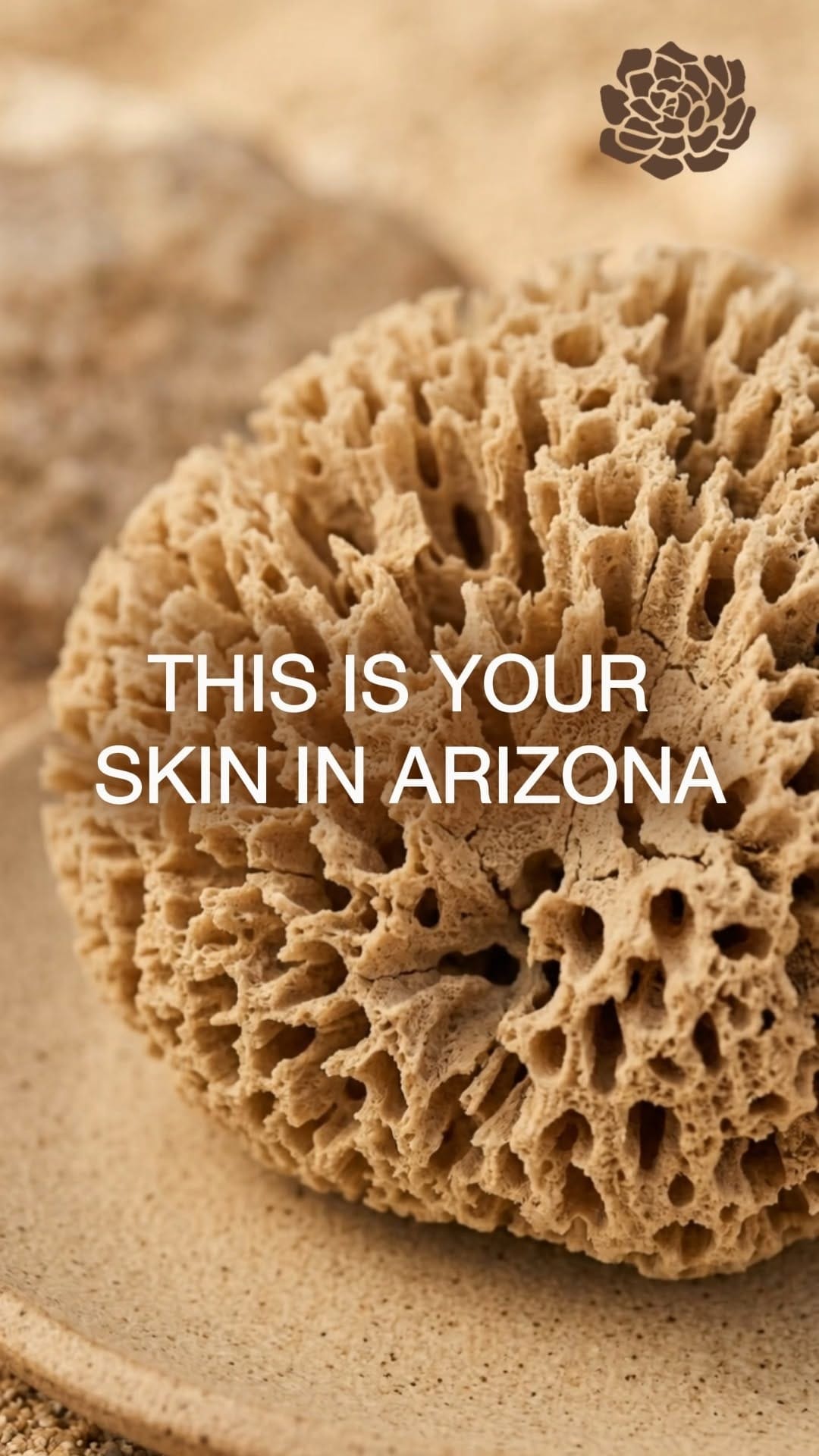 Post 4 by DESERT BLOOM - Scottsdale on Instagram (video)