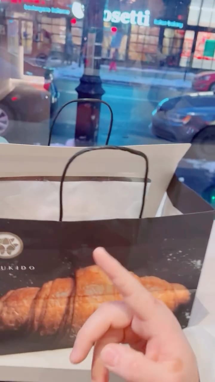 Post 6 by Thays Vanzeller on Instagram (video)