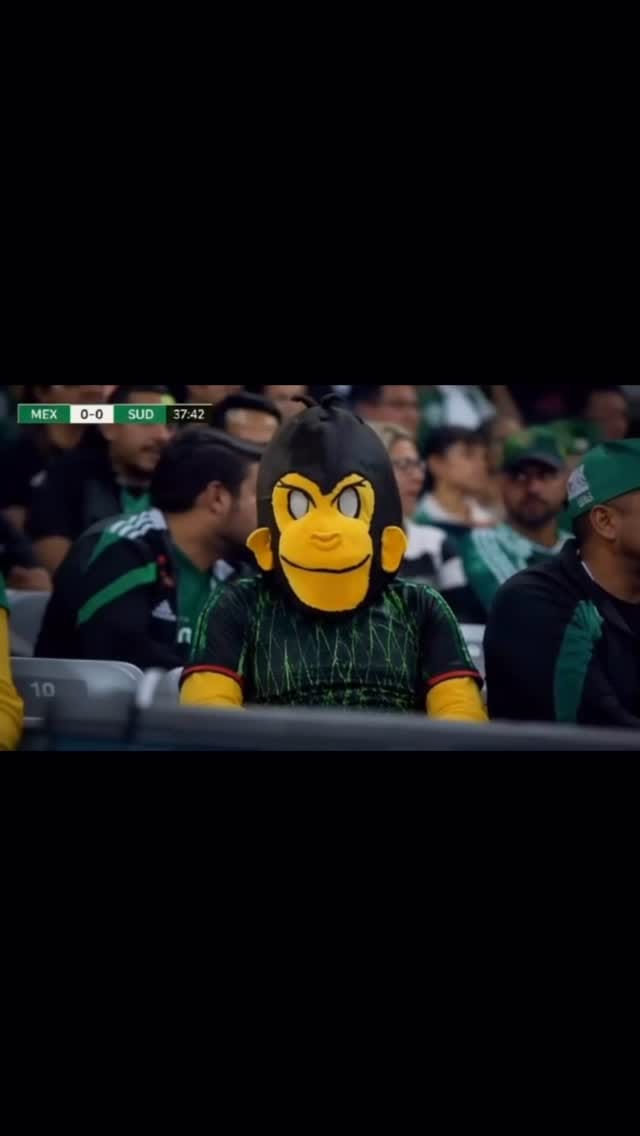 Post 8 by Monkey Papas on Instagram (video)