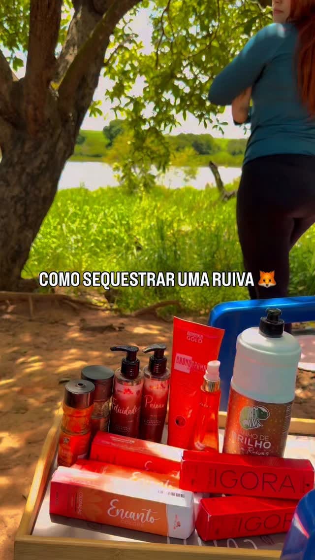Post 8 by LETICIA BAUMGARDT 🦊 on Instagram (video)