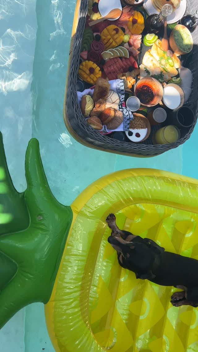 Post 6 by Rachel Hugenschmidt on Instagram (video)