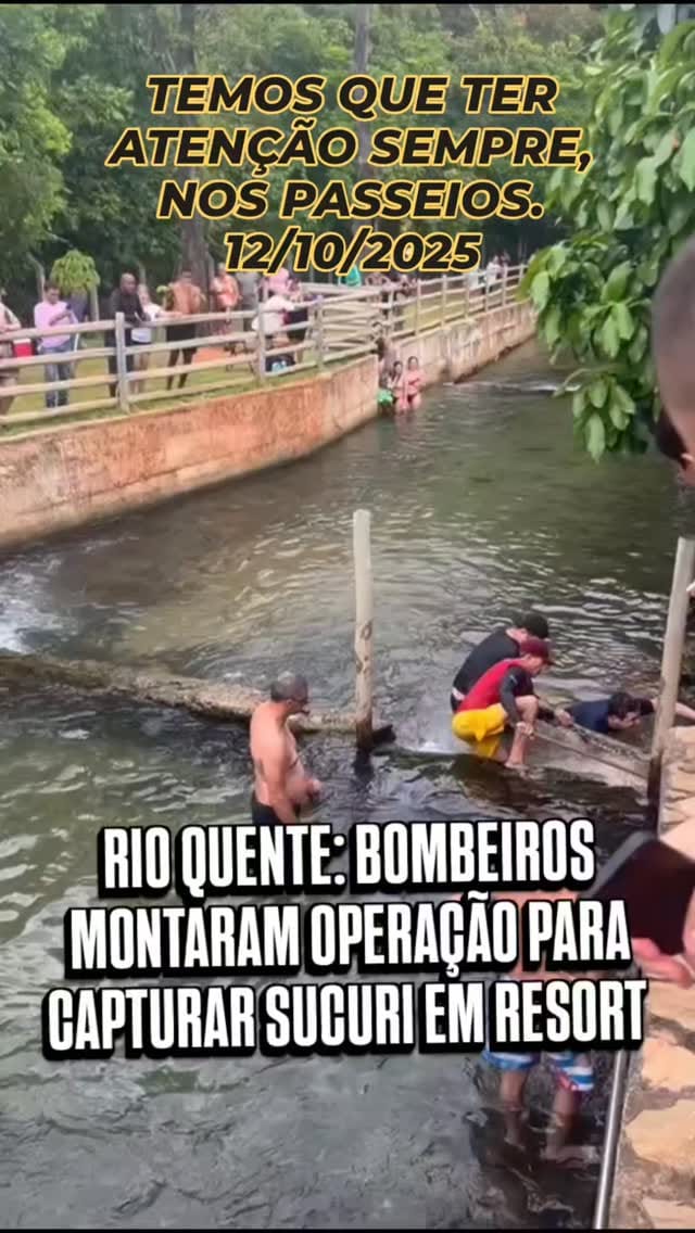 Post 6 by TOP TREINAMENTO | Cursos e Especializações on Instagram (video)