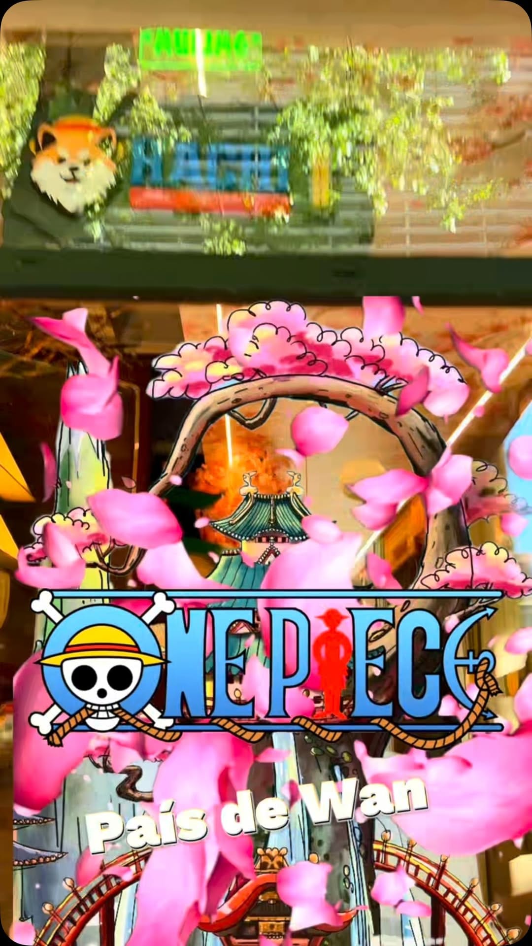Post 8 by Luffy México | One Piece LATAM on Instagram (video)