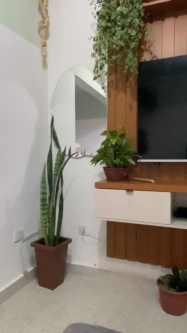 Post 9 by Luíza  Rocha on Instagram (video)
