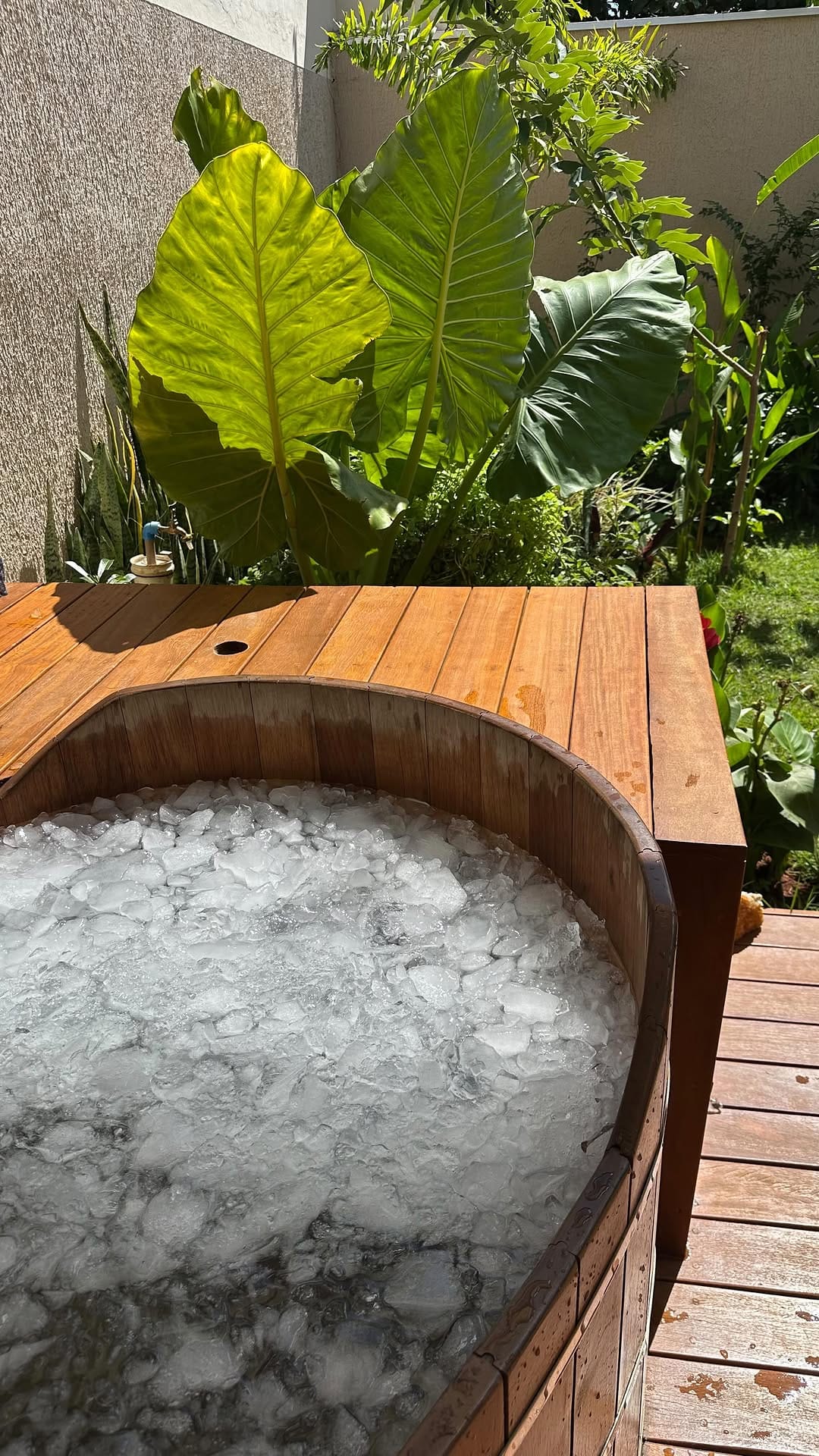 Post 9 by Inaê Ristow | Nutrição no Endurance on Instagram (video)