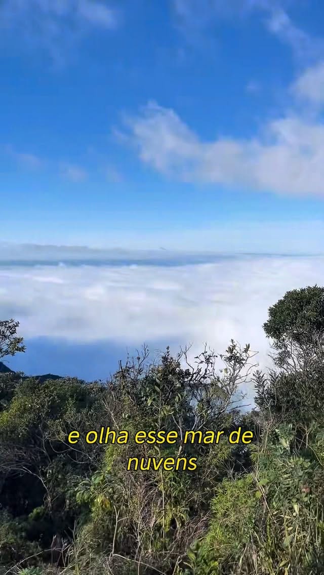Post 7 by Thiago Leal on Instagram (video)